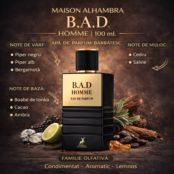 Maison Alhambra B.A.D. Homme 100 ml, Apă de parfum barbatesc b